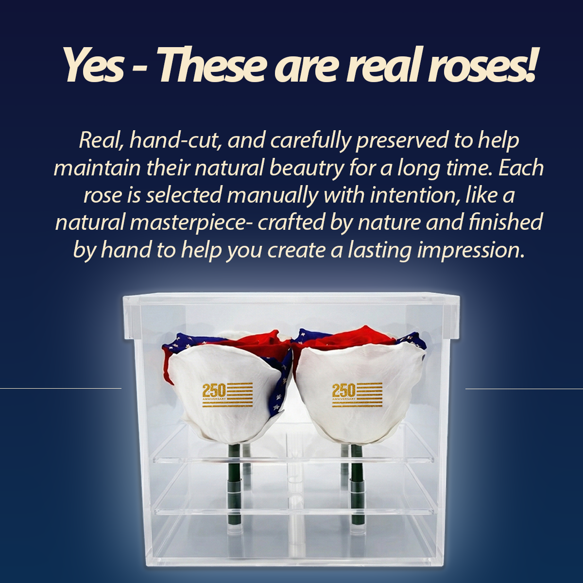 America 250 Forever Rose Bouquet – 100% Real