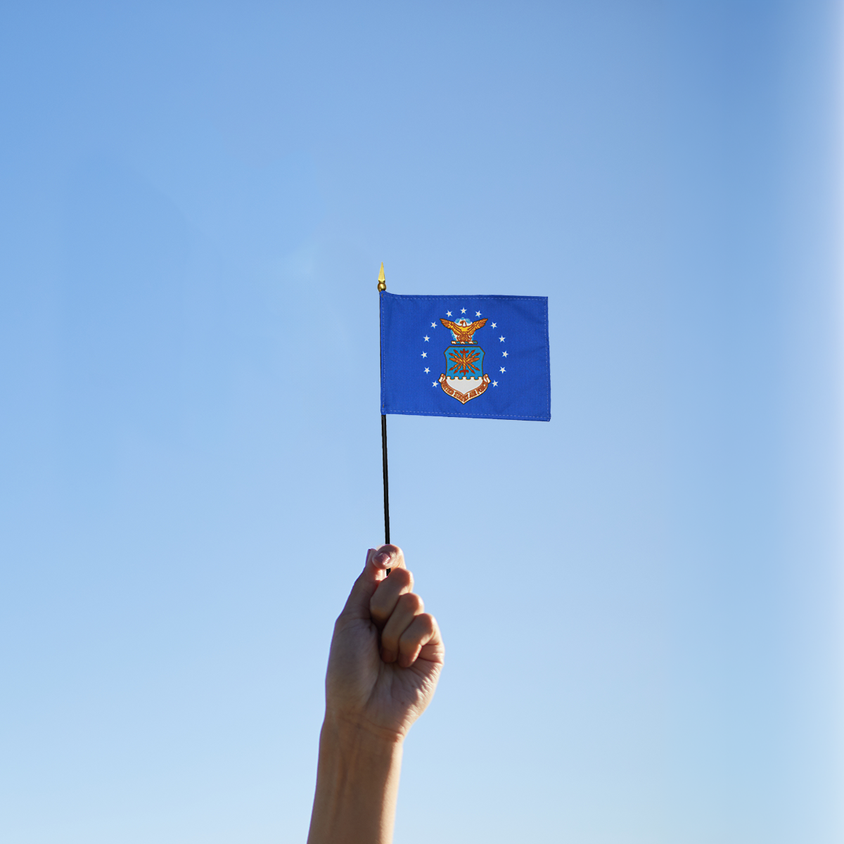 Hand holding a small blue flag against a clear blue sky