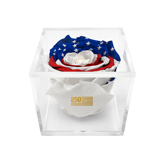 America 250 Forever Stemless Rose – 100% Real - Secondary Image - United States Flag Store America 250 Forever Stemless Rose – 100% Real