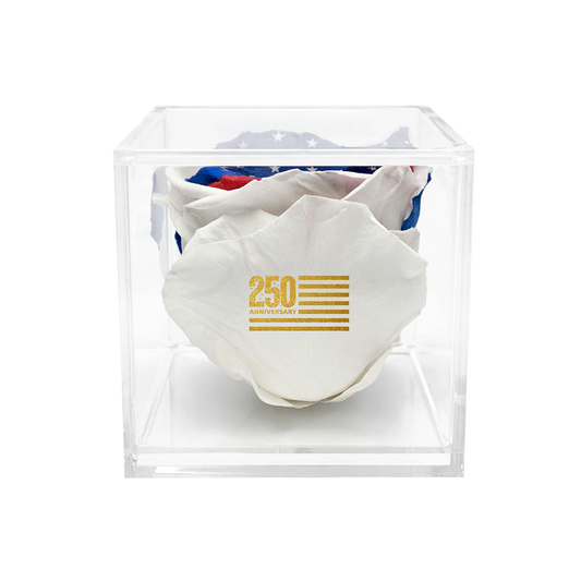 White socks with gold text in a clear cube packaging on a white background