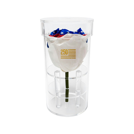 Clear vase with a white rose and a bandana inside, on a white background