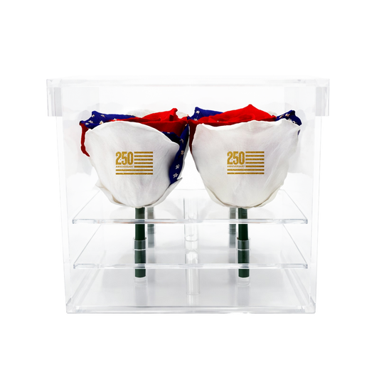 Two roses with American flag design in a clear packaging box.