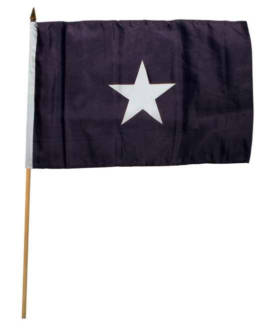 Navy blue flag with a white star on a white background