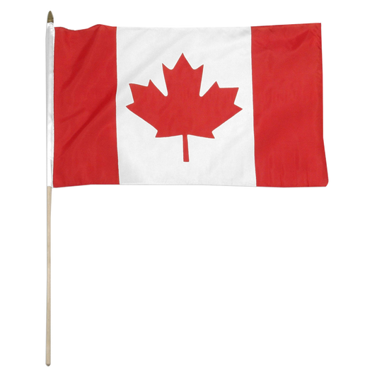 Canadian flag on a white background