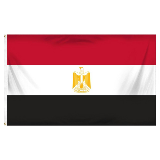 Flag of Egypt with a red, white, and black horizontal stripe design and a gold bird emblem in the center.