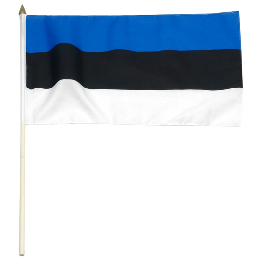 Estonia flag with blue, black, and white stripes on a white background