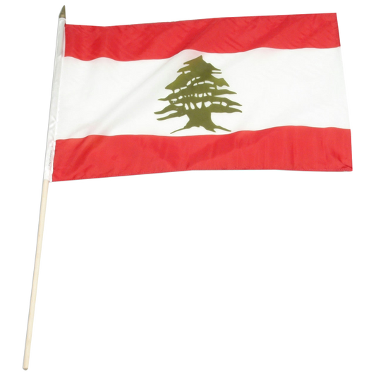 Red and white flag of Lebanon with green cedar tree in the center.