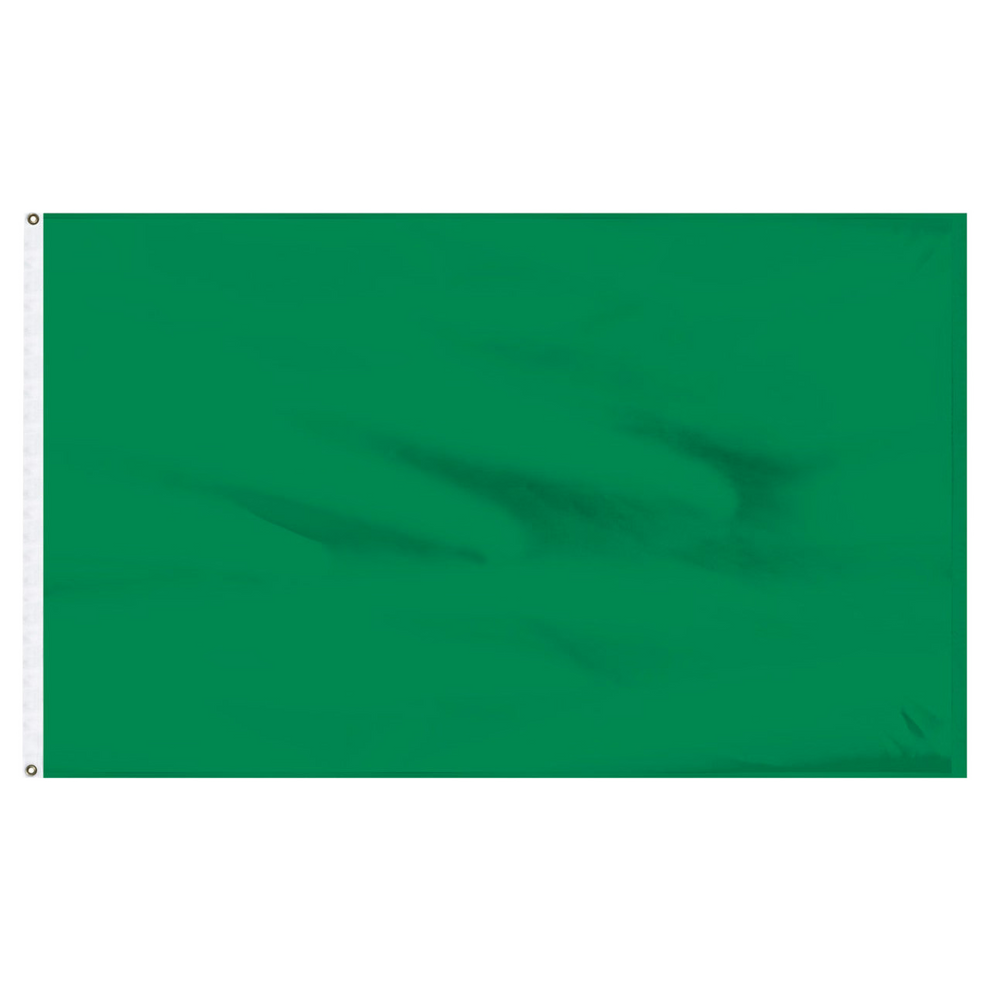 Solid green color swatch on a white background