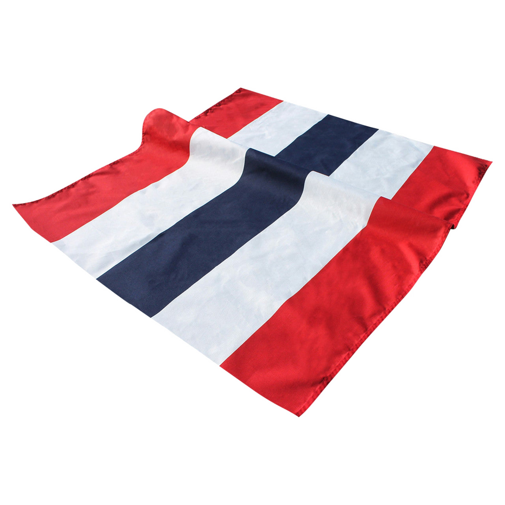 Red, white, and blue patriotic bunting on a white background
