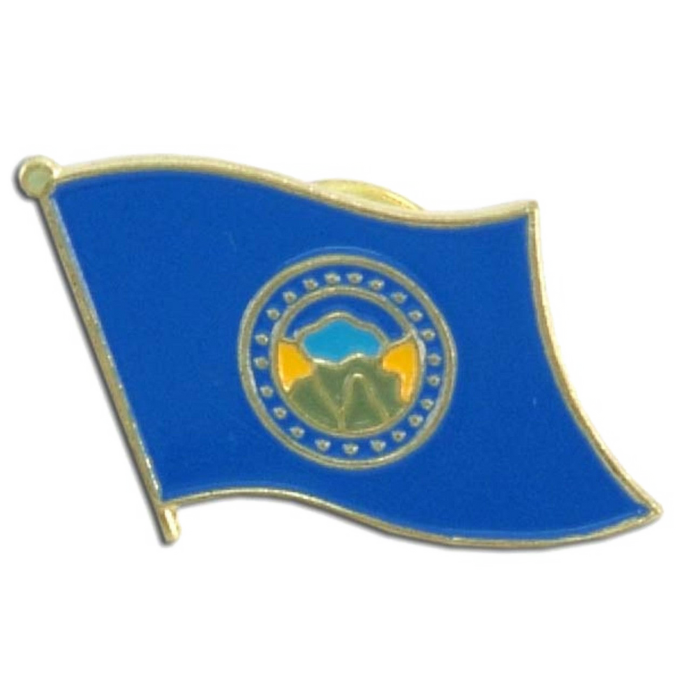 Blue Nebraska flag pin with a circular emblem featuring mountains and water on a white background