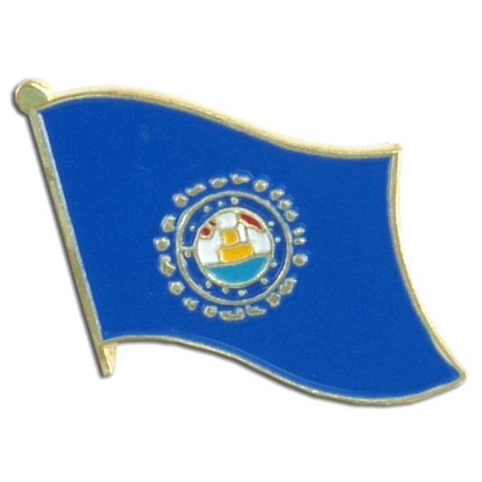 Blue New Hampshire flag pin with a central emblem on a white background