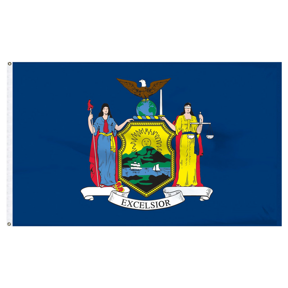 New York state flag with a coat of arms and 'Excelsior' text on a blue background