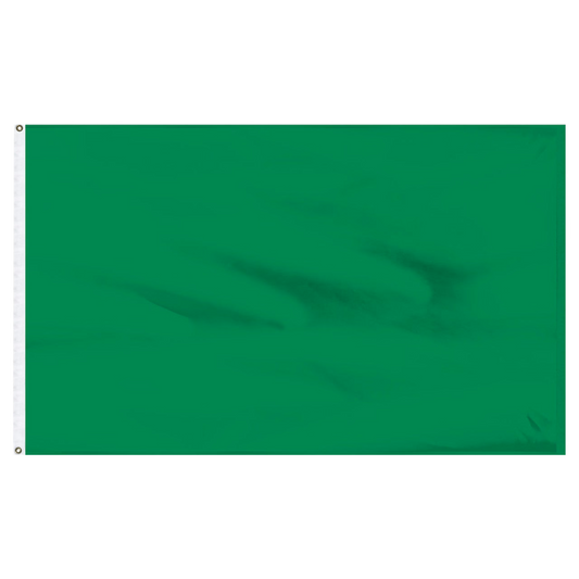 Old Libya Solid green color swatch on a white background