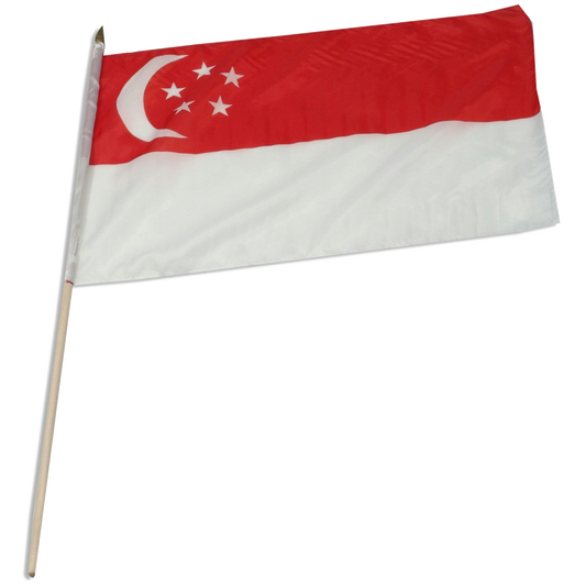 Singaporean flag on a stick against a white background
