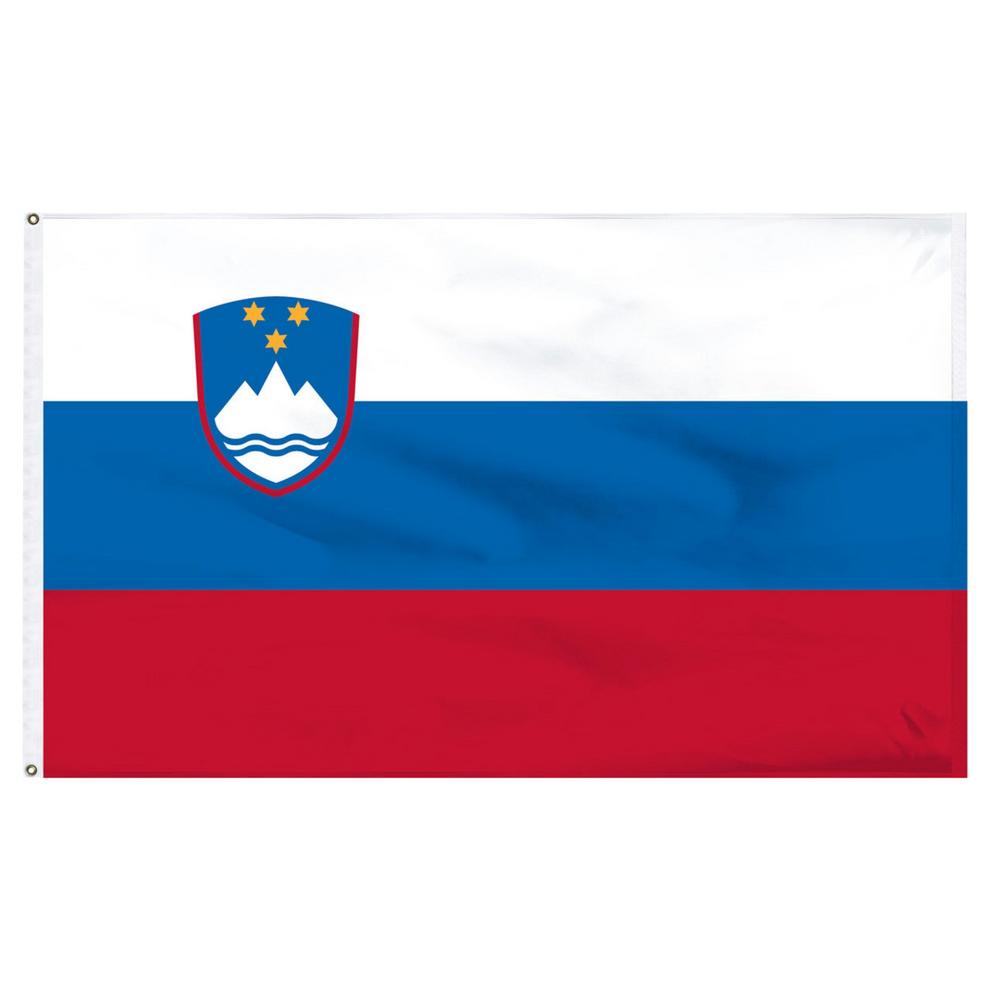 Flag of Slovenia with a blue and red design on a white background