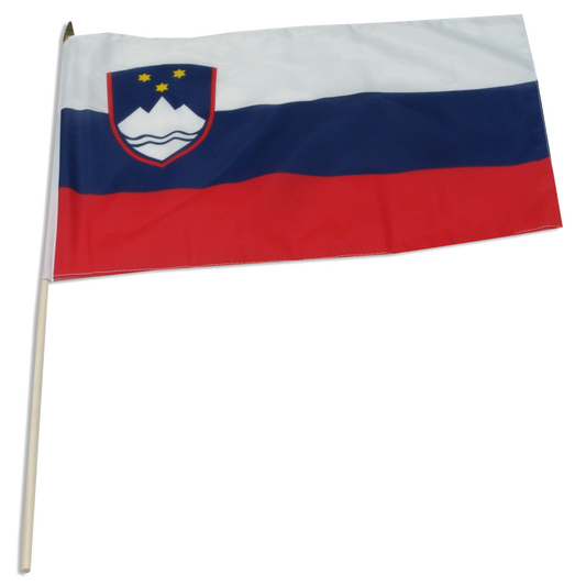 Flag of Slovenia with a blue and red design on a white background