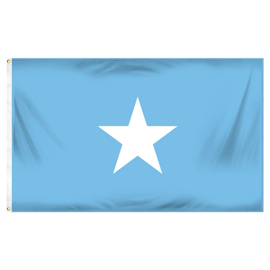 Somalian flag with a white star on a blue background