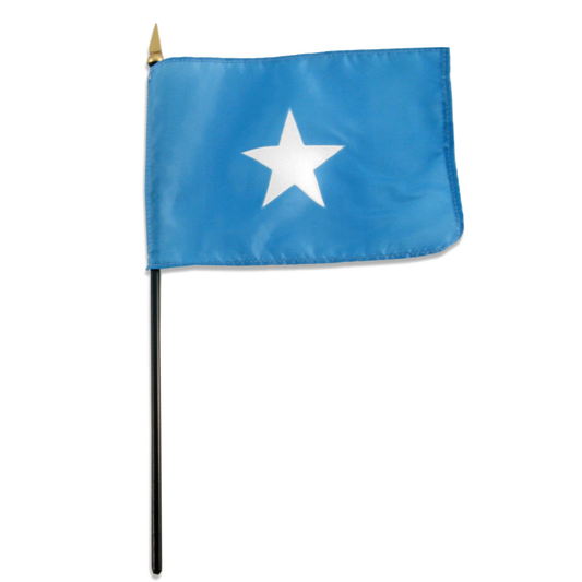 Somali flag: light blue field with a white five-pointed star, on a small black stick.