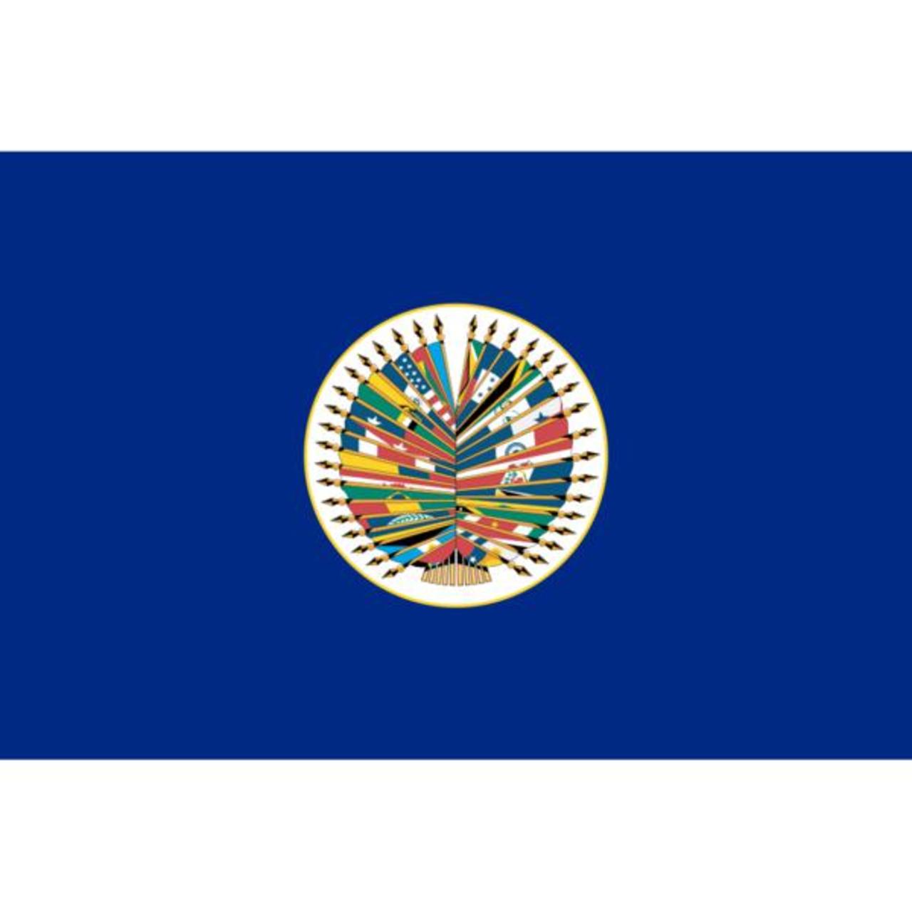 OAS 2' x 3' Nylon Flag