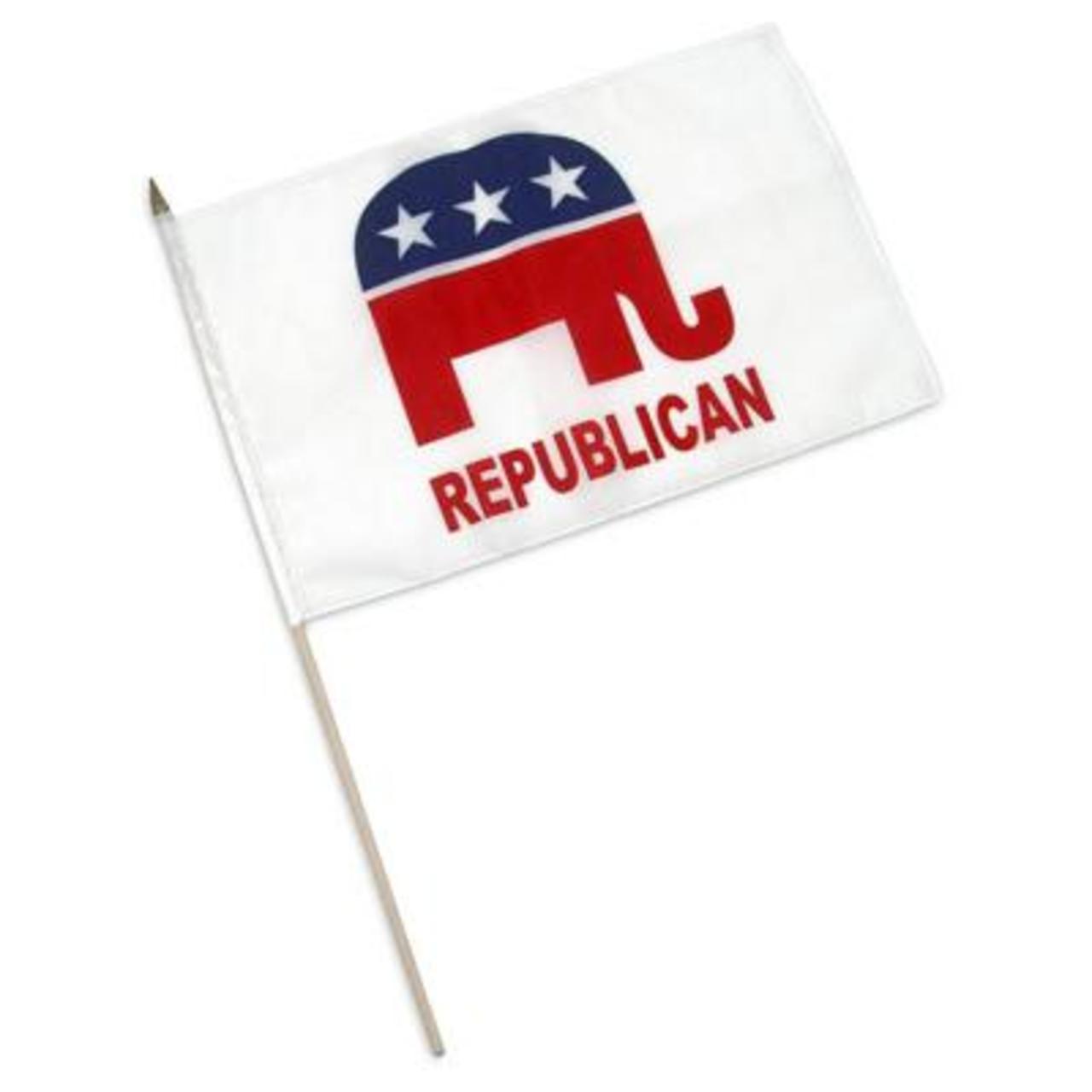 Republican party flag with elephant logo and 'REPUBLICAN' text on a white background