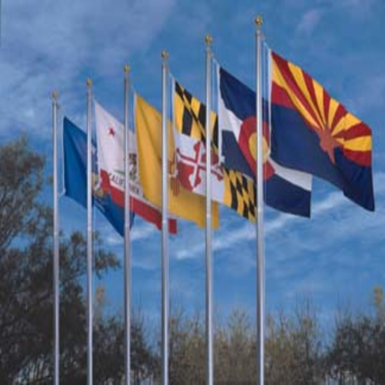 Nylon 4ft x 6ft 50 State flag Set