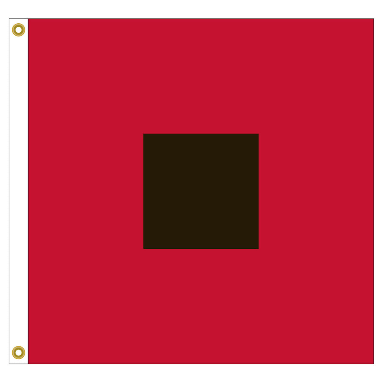 Hurricane Warning 36in x 36in Nylon Flag