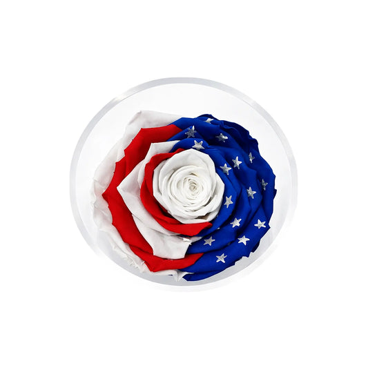 America 250 Forever Rose – 100% Real