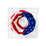 Rose arrangement with red, white, and blue colors in a clear box on a white background