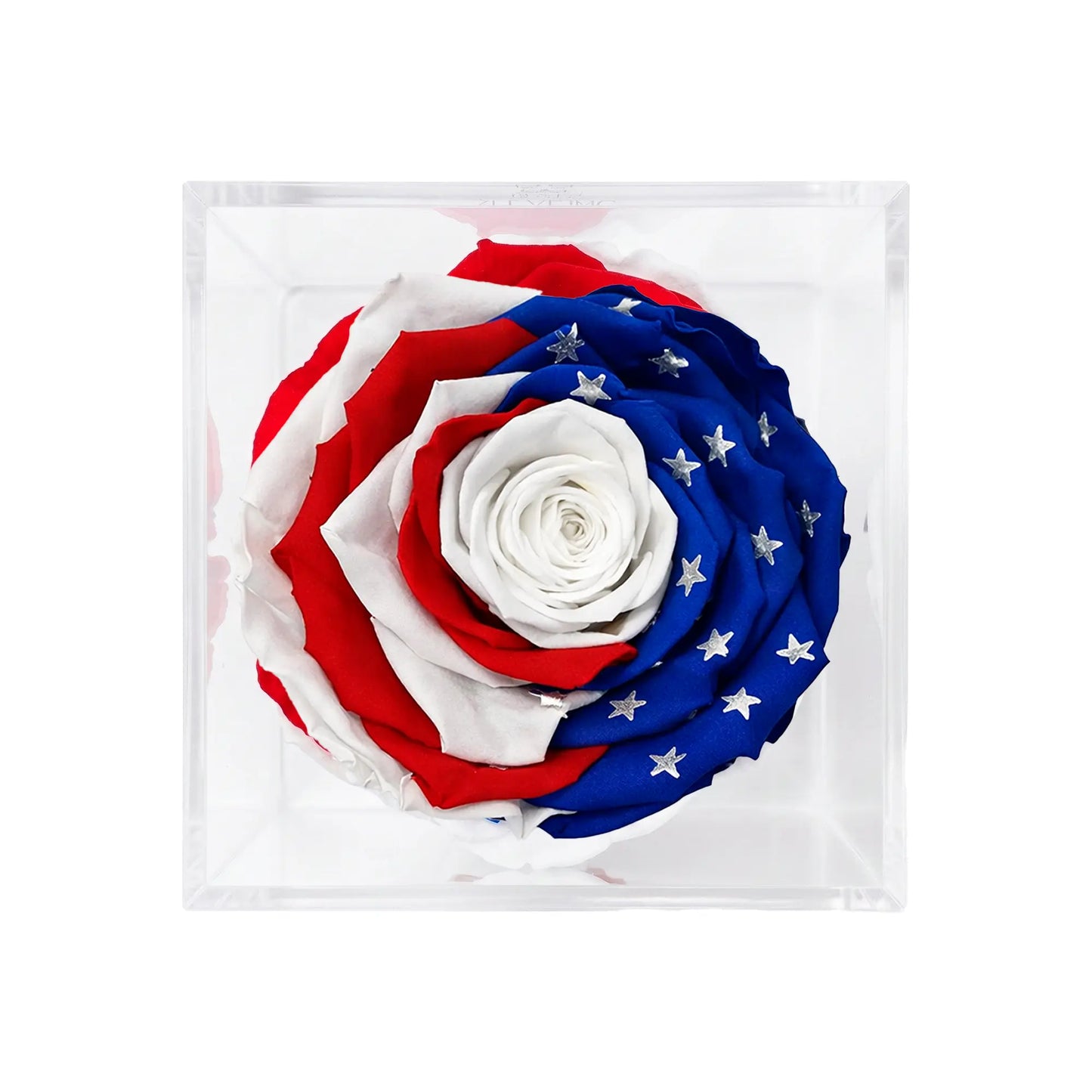 America 250 Forever Stemless Rose – 100% Real