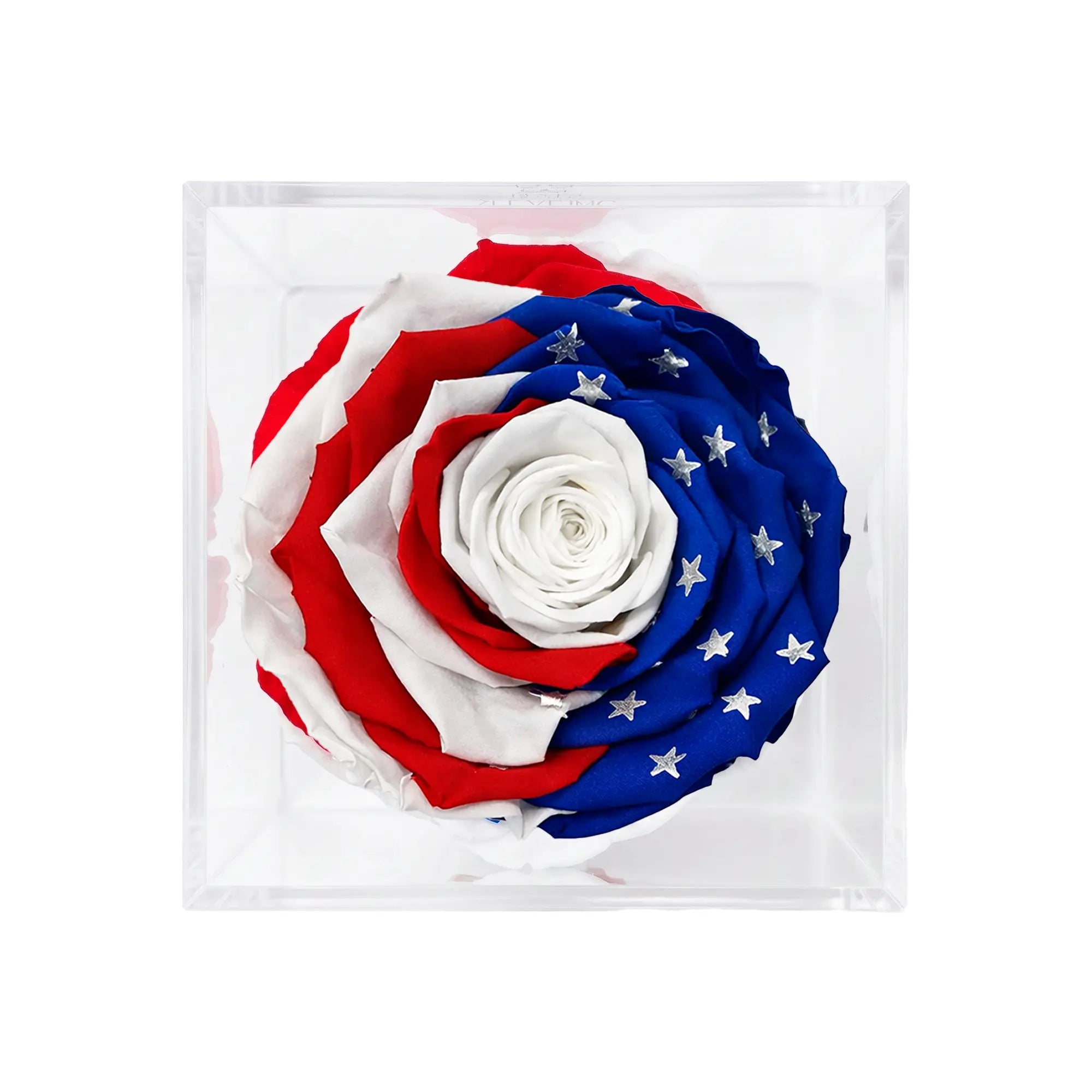 America 250 Forever Stemless Rose – 100% Real