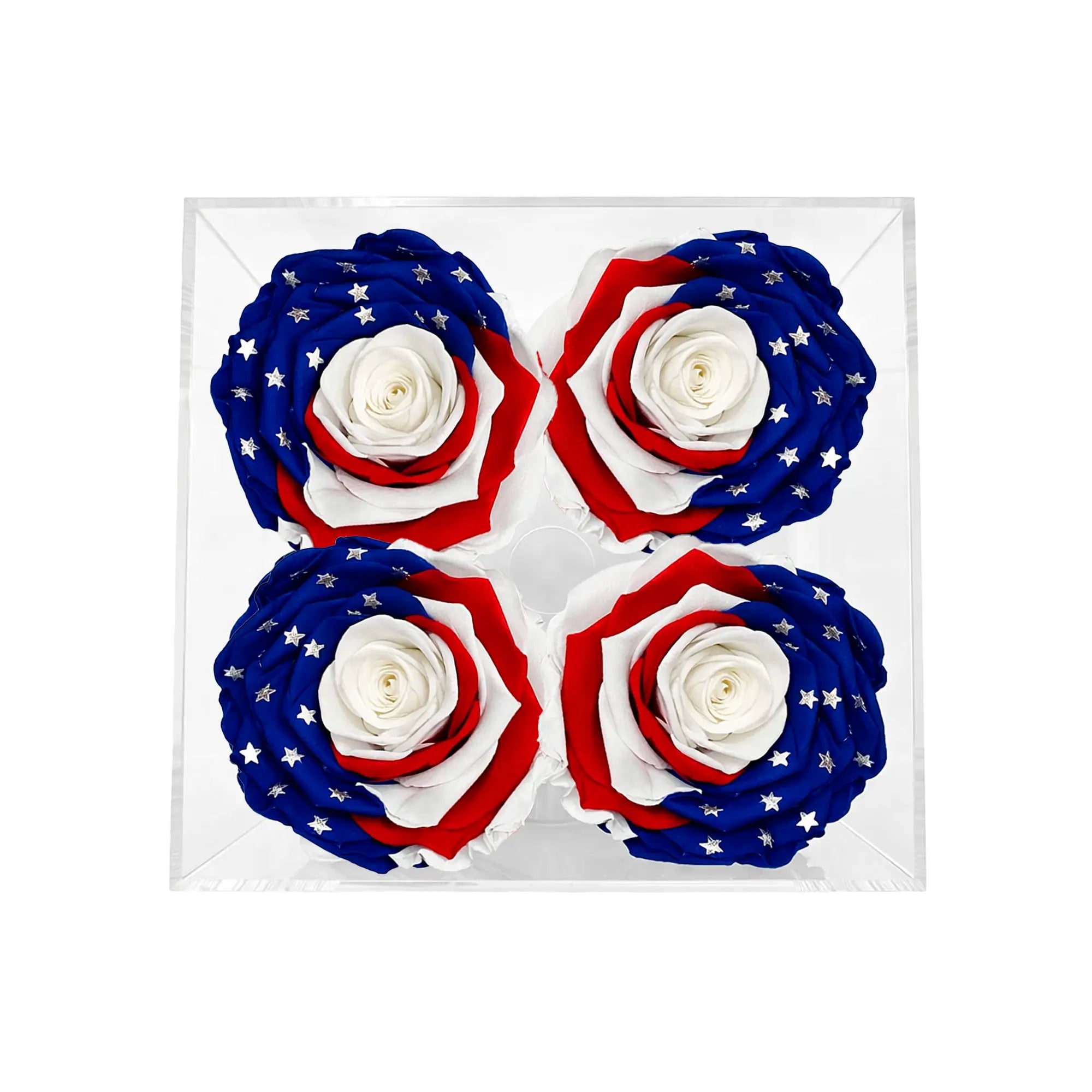 America 250 Remember & Honor Forever Rose Bouquet – 100% Real