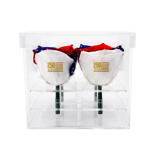 America 250 Forever Rose Bouquet – 100% Real