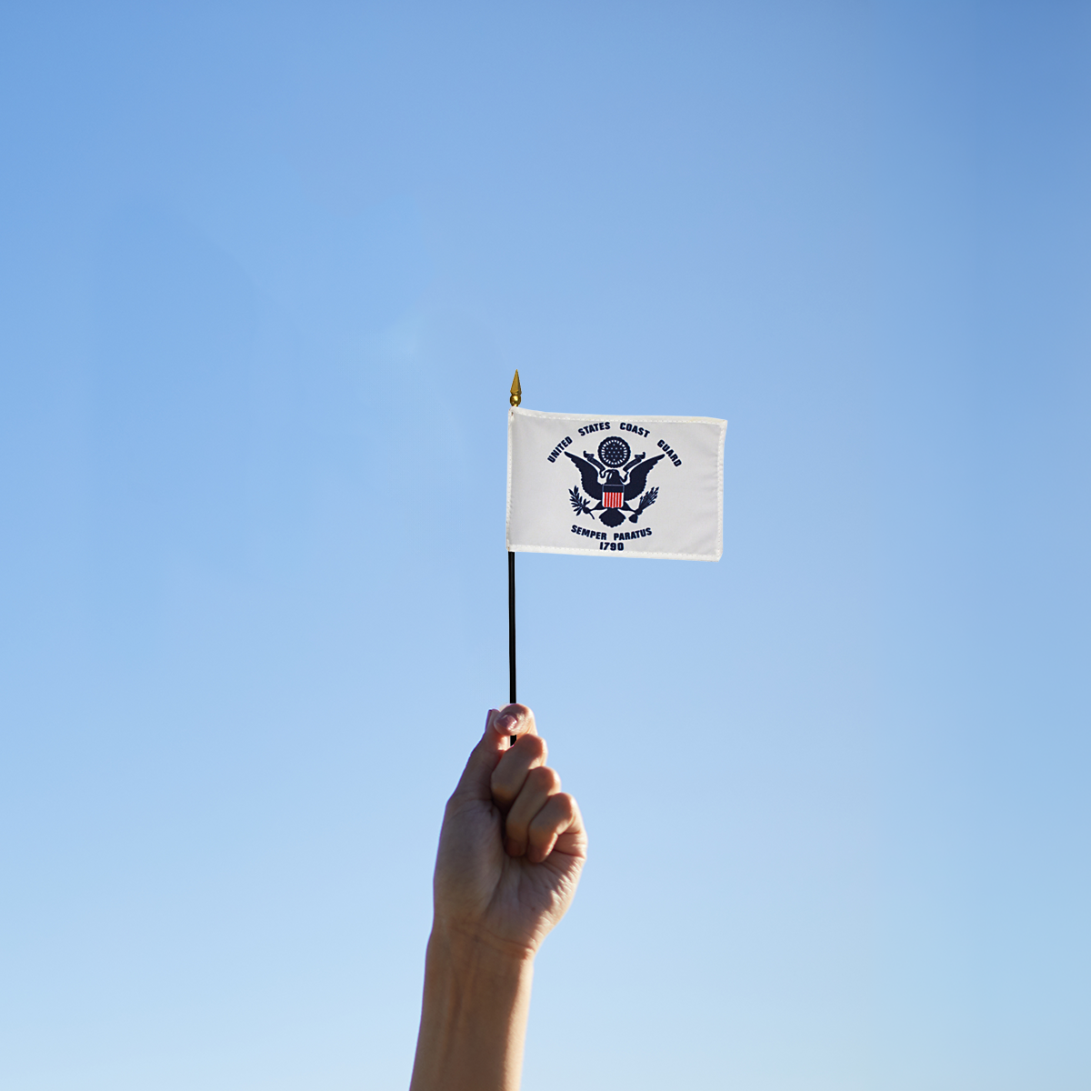 US Coast Guard 4 x 6 inch Nylon Stick Flag Mounted on 10" Staff - Minimum of 12