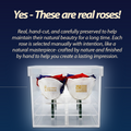 America 250 Remember & Honor Forever Rose Bouquet – 100% Real