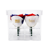 Two preserved roses with '250' and 'Remember & Honor' text, colored in red, white, and blue, and in a clear packaging.