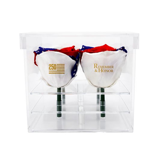 America 250 Remember & Honor Forever Rose Bouquet – 100% Real