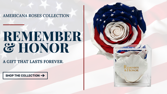 Advertisement for Americana Roses Collection with a patriotic rose and 'Remember & Honor' text.