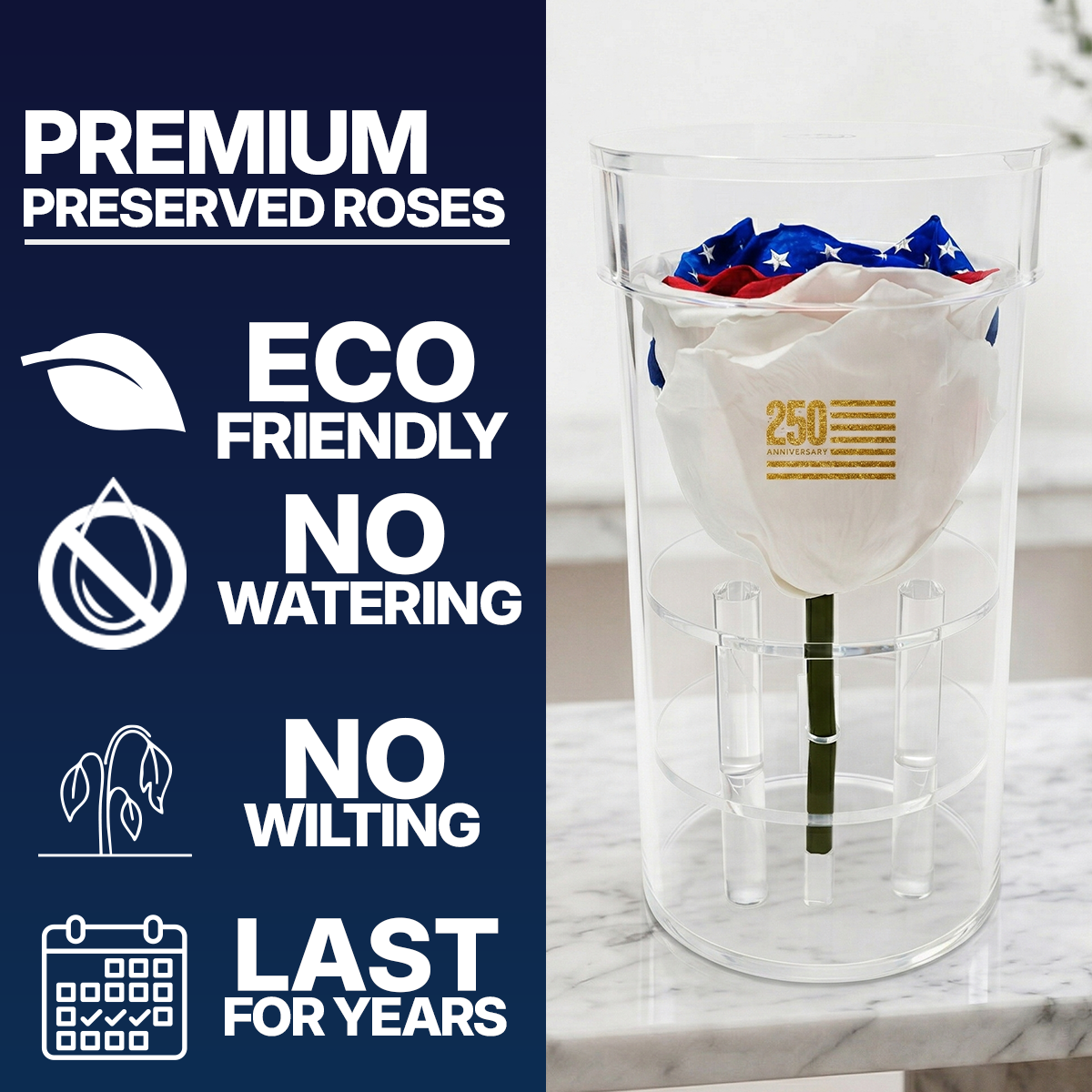 America 250 Forever Rose – 100% Real