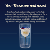 Real rose in a clear cylindrical container with text on a blue background
