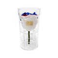 America 250 Forever Rose – 100% Real