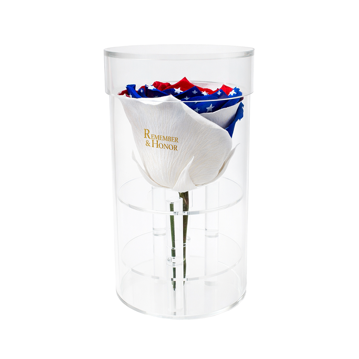 Americana Remember & Honor Forever Rose – 100% Real