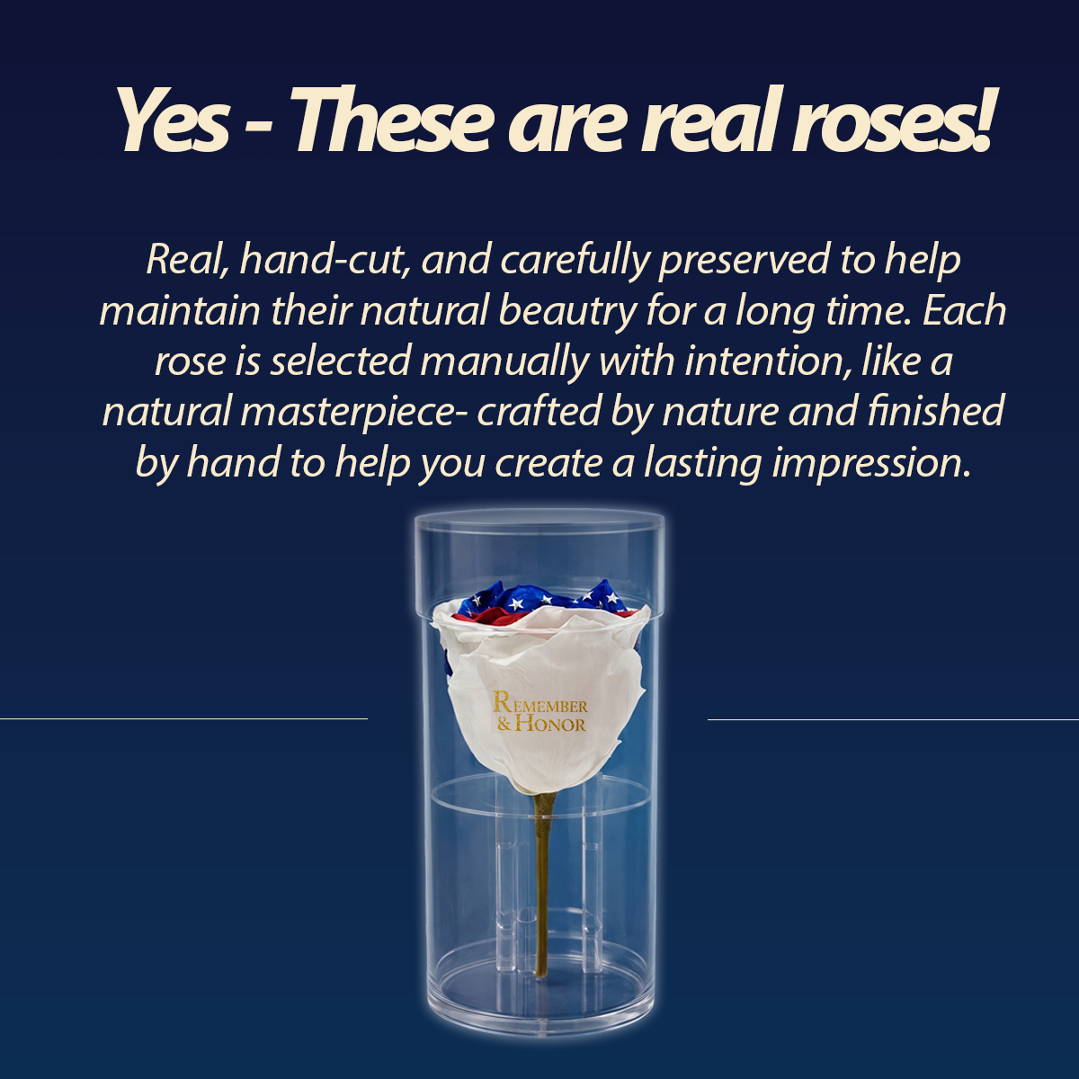 Americana Remember & Honor Forever Rose – 100% Real
