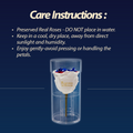 Americana Remember & Honor Forever Rose – 100% Real