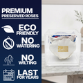 America 250 Forever Stemless Rose – 100% Real