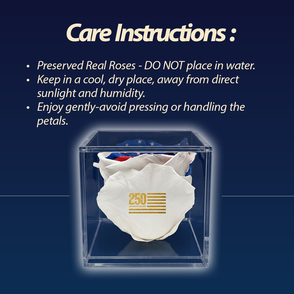 America 250 Forever Stemless Rose – 100% Real