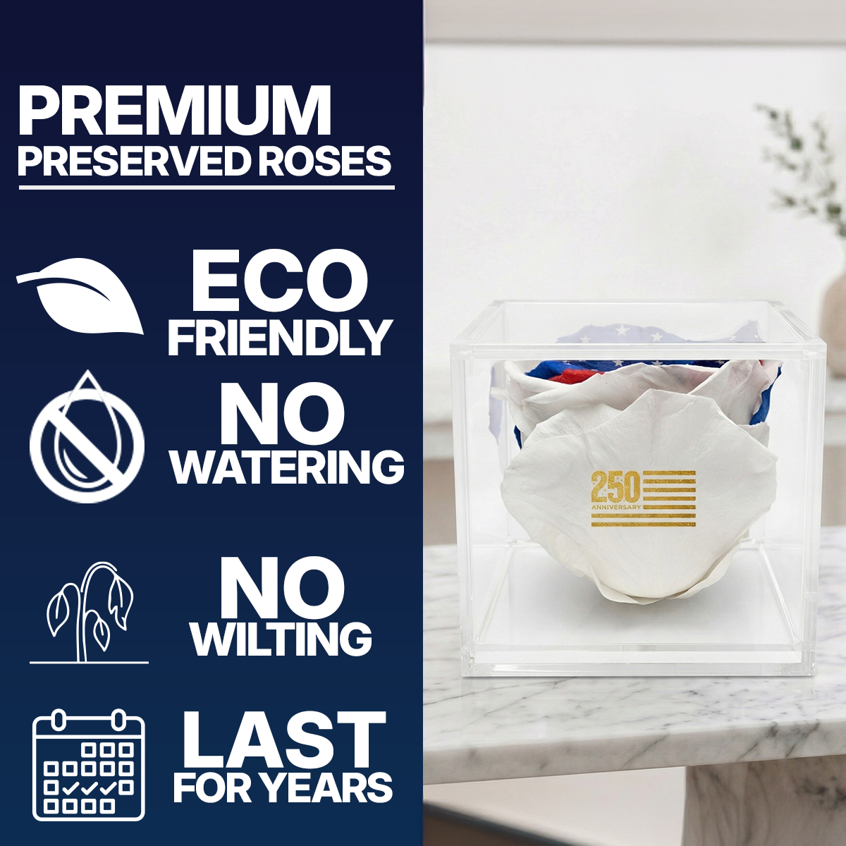 America 250 Forever Stemless Rose – 100% Real