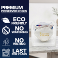 Americana Remember & Honor Forever Stemless Rose – 100% Real