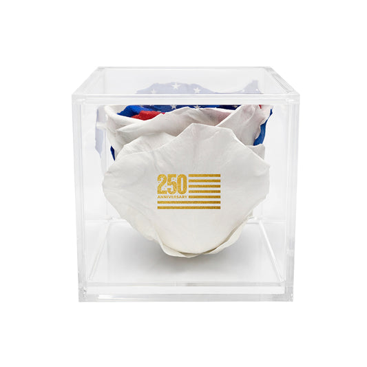 America 250 Forever Stemless Rose – 100% Real