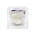 Americana Remember & Honor Forever Stemless Rose – 100% Real
