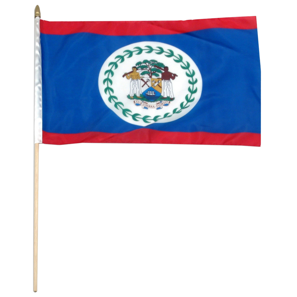 Flag of Belize with a coat of arms on a blue and red background